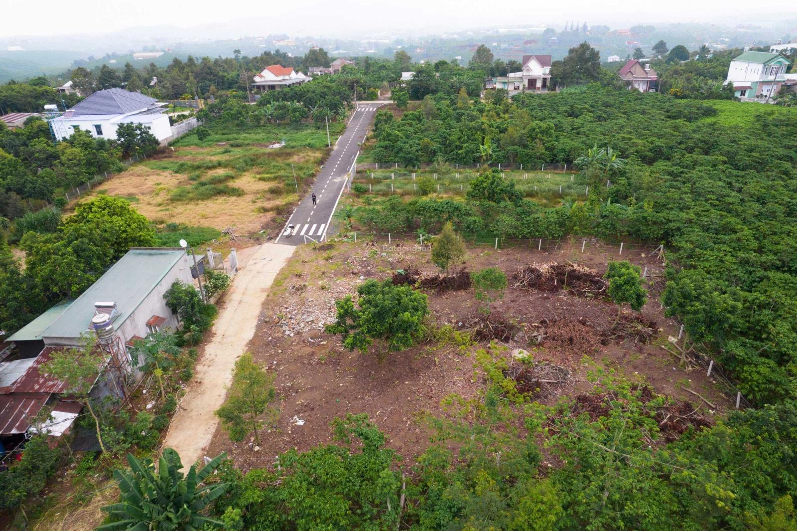 20240624115130-5692_wm