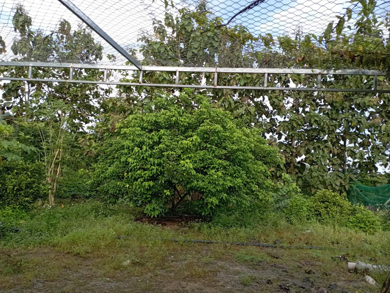 328769762_749880262938300_2380063744741049570_n