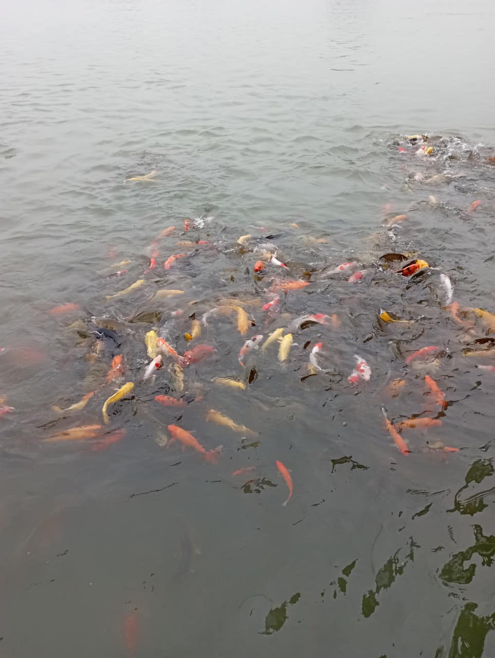 328987382_865960531182398_1236646506857065030_n